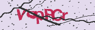 Captcha認証コード