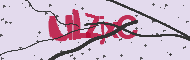 Captcha認証コード