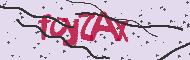 Captcha認証コード